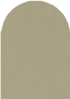 Warm tan beige pearl