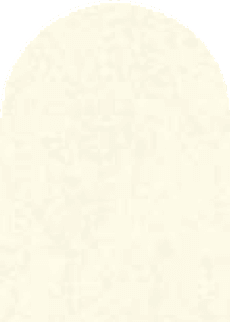 Cream white sparkle