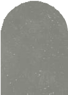 Light stone grey sparkle