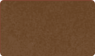 Metallic Bronze